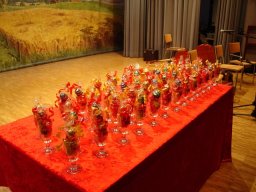 Teilinstrumentierung_2009_433